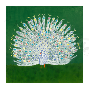 Majestic Splendor – White Peacock on Emerald Green